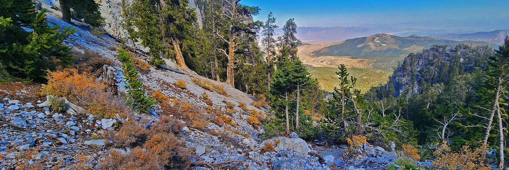 Now Angling to the Left Along Mummy's Nose E Cliff Base. | Mummy Mountain Forehead Summit Approach Gully | Mt Charleston Wilderness, Nevada