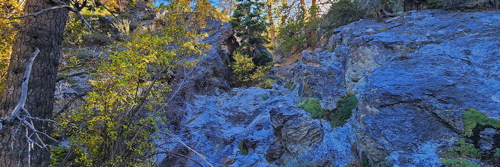 More Limestone Rock Scrambles Down Slick Dry Falls | Mummy Mountain Forehead Summit Approach Gully | Mt Charleston Wilderness, Nevada