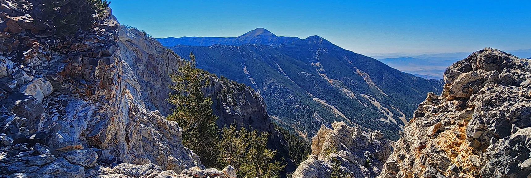 New Spectacular Views Open from Ridgeline. Charleston & Lee Peaks Ahead. | Mummy's Chin Summit Ridge Loop | Mt. Charleston Wilderness, Nevada