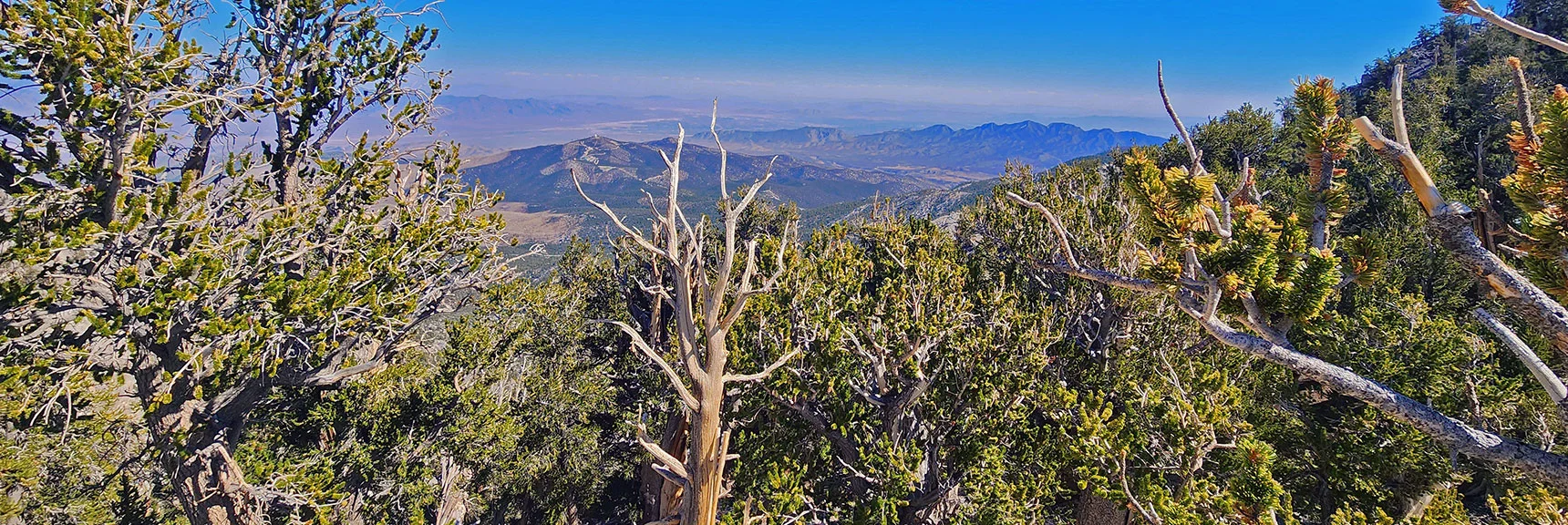 Northwest View Down to Angel Peak, La Madre Mts. & Las Vegas Valley | Mummy's Chin Summit Ridge Loop | Mt. Charleston Wilderness, Nevada