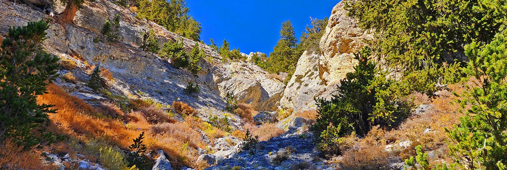 Approaching Major Dry Fall Barrier, Bypass Via Slope to the Right. | Mummy's Chin Summit Ridge Loop | Mt. Charleston Wilderness, Nevada
