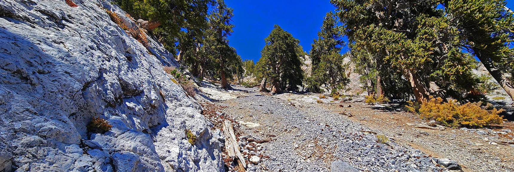 Gully Brush/Boulders Disappear, But Incline Angle Sharply Increases | Mummy's Chin Summit Ridge Loop | Mt. Charleston Wilderness, Nevada