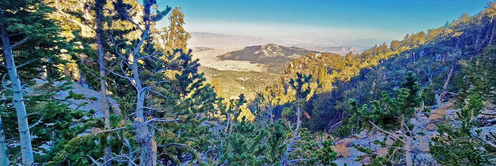 View Down Upper Gully Toward Angel Peak During Return Descent. | Mummy's Chin Summit Ridge Loop | Mt. Charleston Wilderness, Nevada