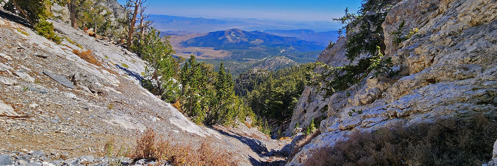 Looking Back Down Gully Gives Greater Perspective on Steep Incline. | Mummy's Chin Summit Ridge Loop | Mt. Charleston Wilderness, Nevada