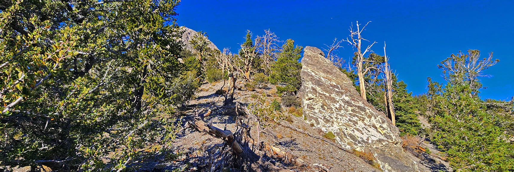 200ft Beyond This Pillar Angle Left Along Base of Eastern Cliffs. | Mummy's Chin Summit Ridge Loop | Mt. Charleston Wilderness, Nevada