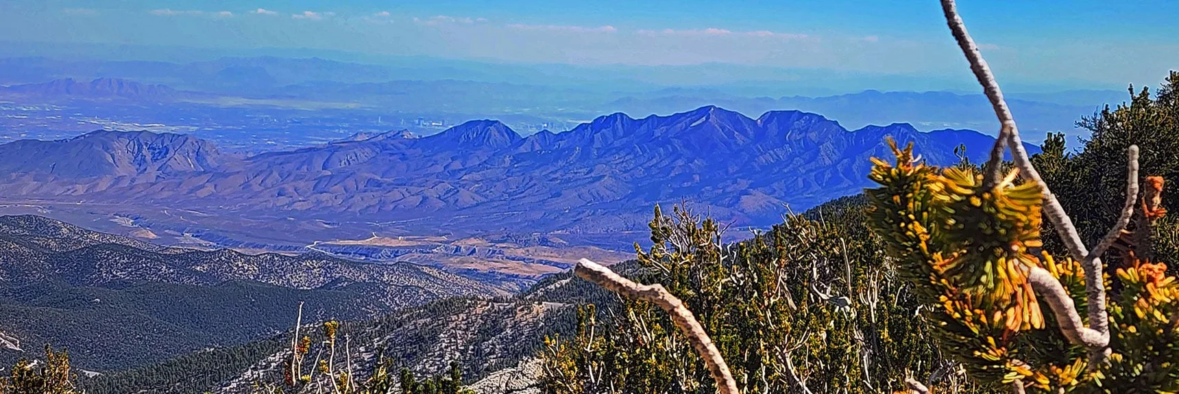 La Madre Mts. Foreground. North Vegas Valley Background. | Mummy's Chin Summit Ridge Loop | Mt. Charleston Wilderness, Nevada