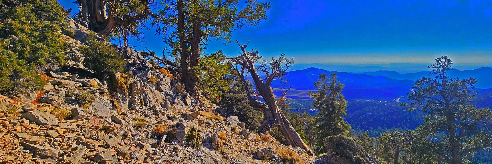Looking Back Across a Few Limestone Rocky Sections Easy to Navigate. | Mummy's Chin Summit Ridge Loop | Mt. Charleston Wilderness, Nevada