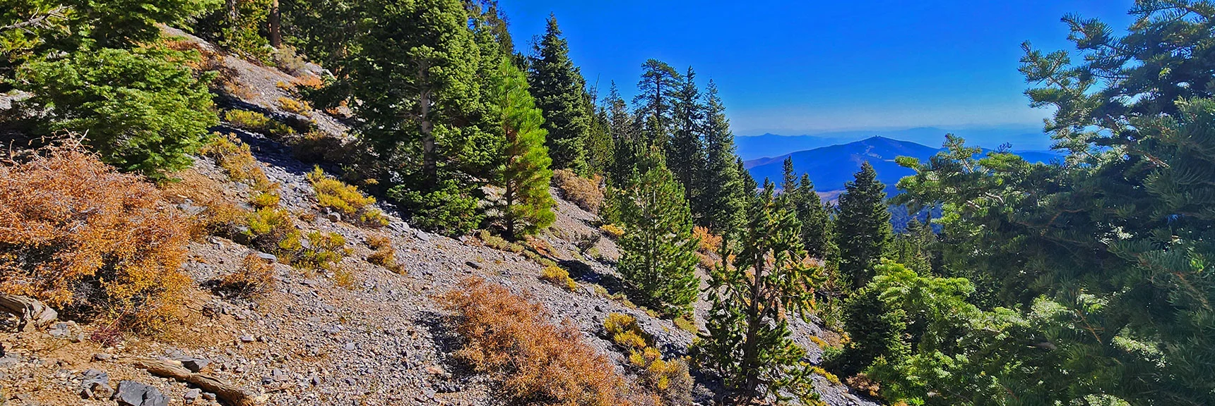 View Back Across Cliff Base Path Near the Summit Approach Gully | Mummy's Chin Summit Ridge Loop | Mt. Charleston Wilderness, Nevada