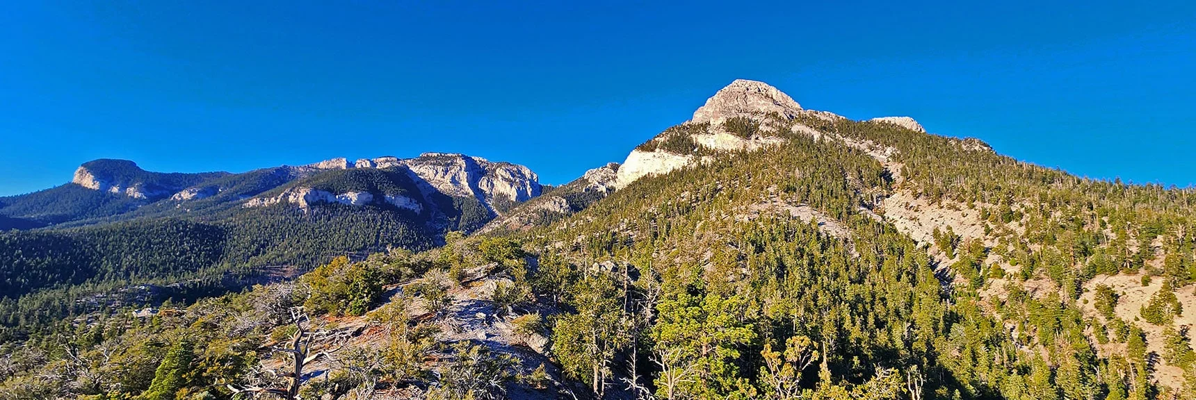 Now Take the Eastern Ridgeline Summit to 9,400ft, Then Angle Left Along Cliff Base. | Mummy's Chin Summit Ridge Loop | Mt. Charleston Wilderness, Nevada