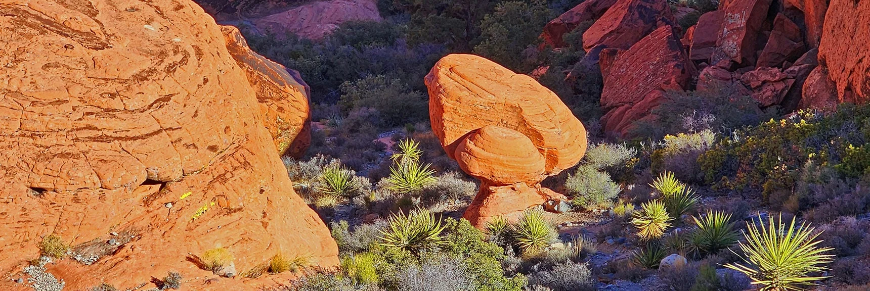 Now on Grand Circle Loop Below Sandstone Quarry Trailhead Area | Calico Tanks from Guardian Angel Pass | Red Rock Canyon NCA, Nevada