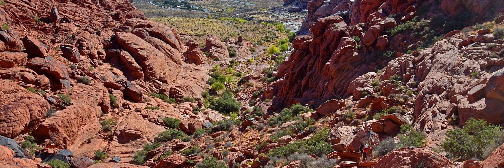 View Back Down Guardian Angel Pass to Red Spring Desert Oasis | Calico Tanks from Guardian Angel Pass | Red Rock Canyon NCA, Nevada