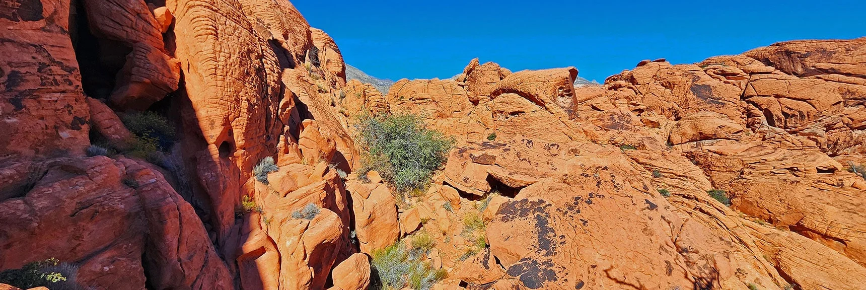 Forward View. Gradually Descending Toward Lower Meadow | Calico Tanks from Guardian Angel Pass | Red Rock Canyon NCA, Nevada