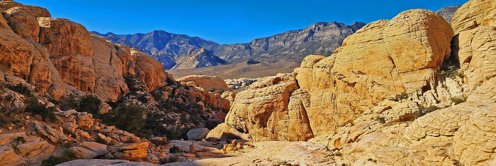 Descending Calico Tanks Trail. La Madre Ridgeline on Horizon. | Calico Tanks from Guardian Angel Pass | Red Rock Canyon NCA, Nevada