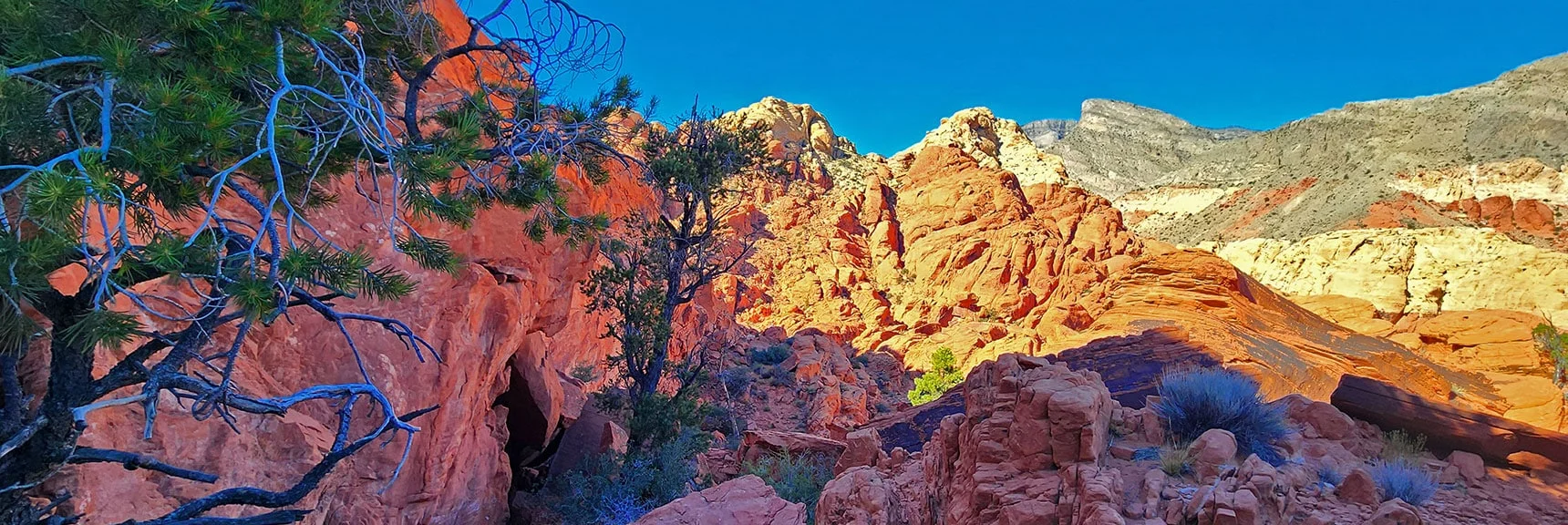 White Rocks Ahead Are Viewpoints Above Upper Calico Tanks | Calico Tanks from Guardian Angel Pass | Red Rock Canyon NCA, Nevada