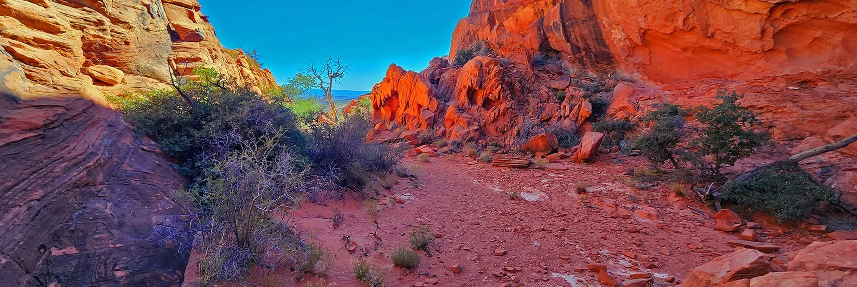 View Back, Continuing Toward Calico Tanks. Terrain Leveling Off Somewhat. | Calico Tanks from Guardian Angel Pass | Red Rock Canyon NCA, Nevada
