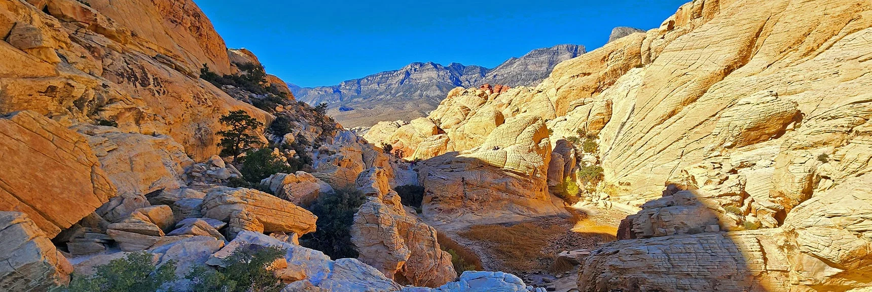 Now Looking Down on Dry Upper Calico Tank Before Descending | Calico Tanks from Guardian Angel Pass | Red Rock Canyon NCA, Nevada