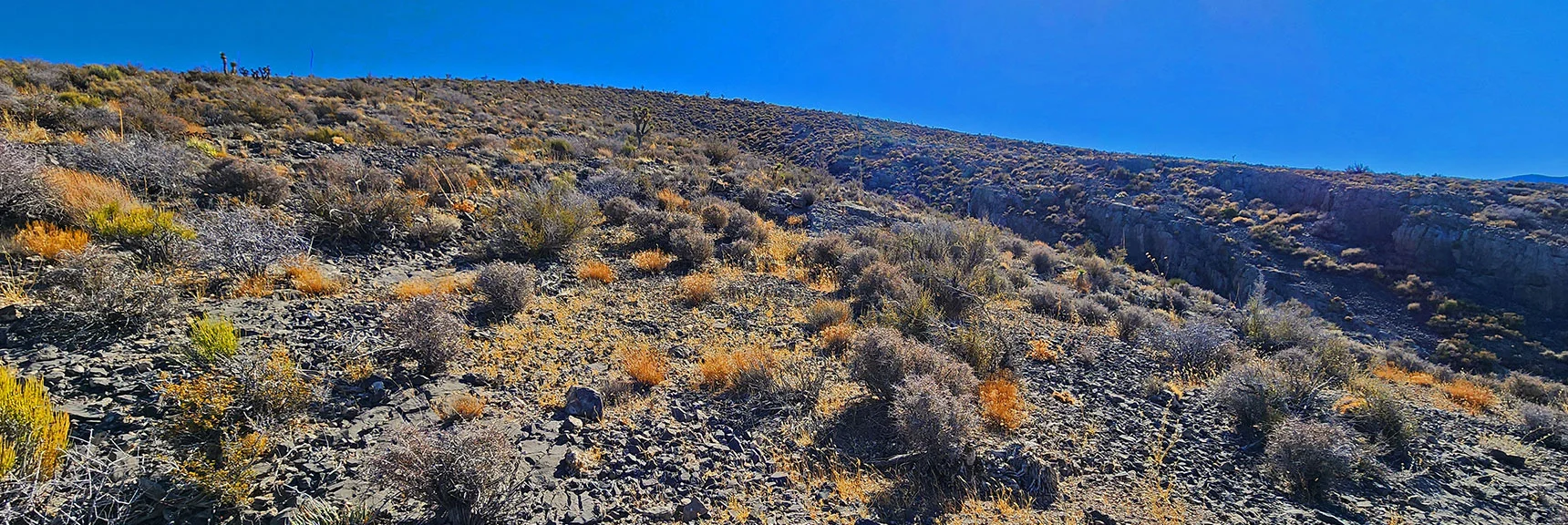 Near Summit of Rift Canyon Slope Beginning to Gently Round | Harris Springs Canyon Ridgeline | La Madre Mountains Wilderness, Nevada