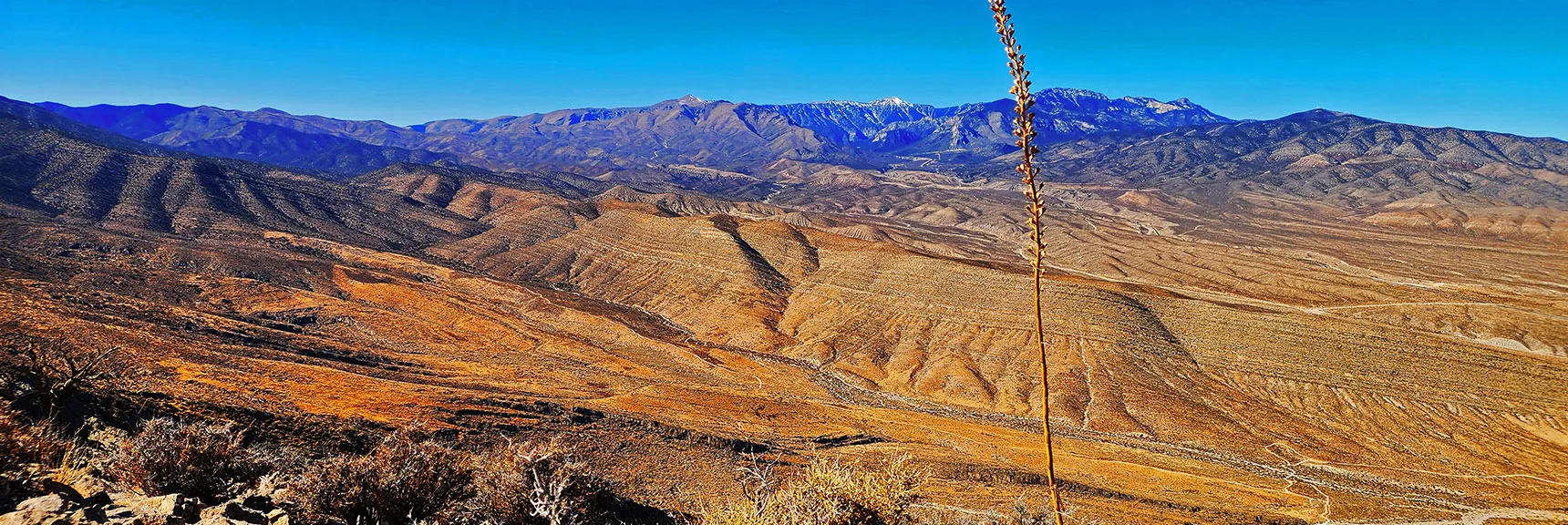 Wider View Surrounding Mt. Charleston Wilderness. | Harris Springs Canyon Ridgeline | La Madre Mountains Wilderness, Nevada