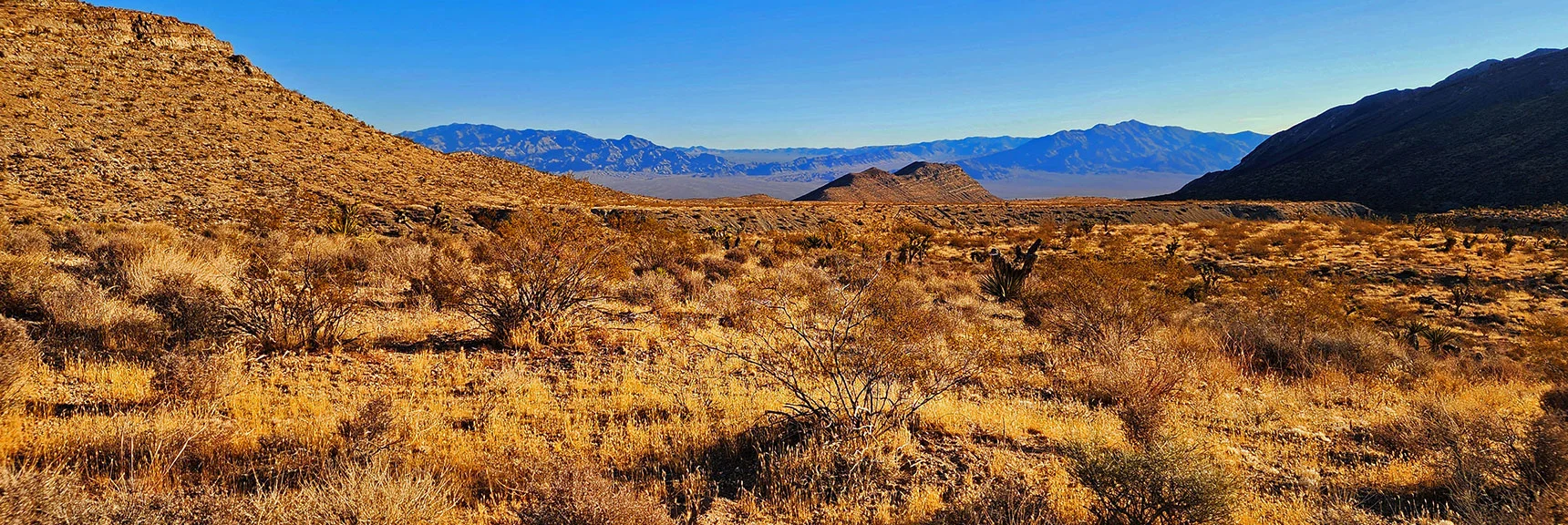 Cross Intervening Canyon at Base of Ridgeline. View NE To Sheep Range/Gass Peak | Harris Springs Canyon Ridgeline | La Madre Mountains Wilderness, Nevada