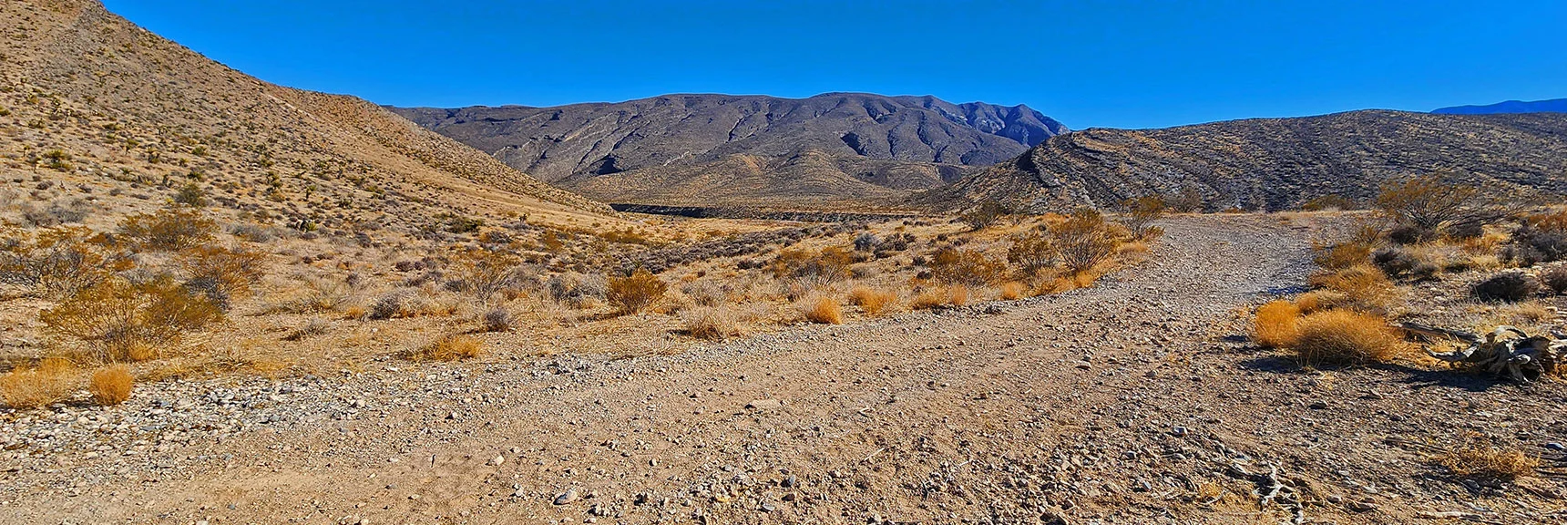 Head SE Toward Harris Springs Canyon and Ridgeline on Horizon | Harris Springs Canyon Ridgeline | La Madre Mountains Wilderness, Nevada