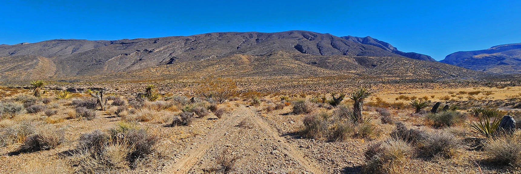 Ascend from Wash Toward Ridgeline. Many Mountain Bike/Horse Trails in Area. | Harris Springs Canyon Ridgeline | La Madre Mountains Wilderness, Nevada