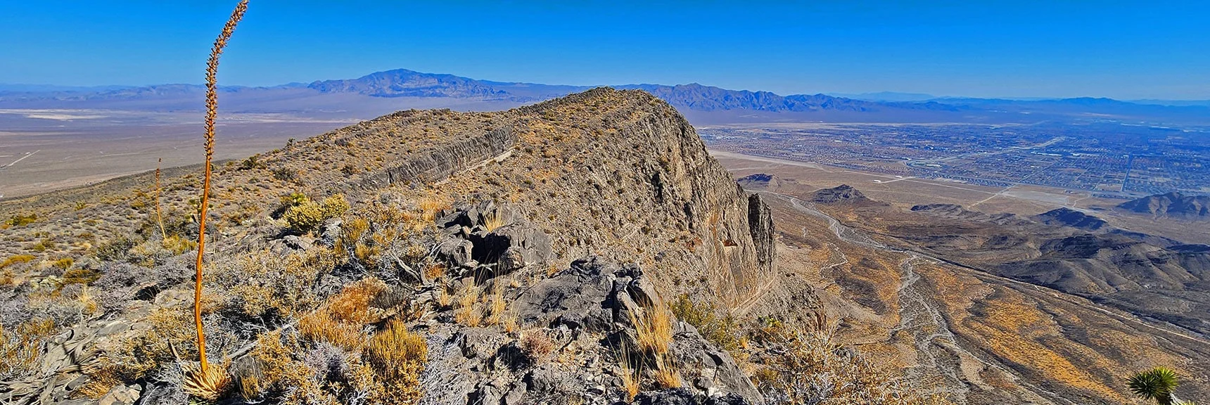 View North from North Summit. | Harris Springs Canyon Ridgeline | La Madre Mountains Wilderness, Nevada