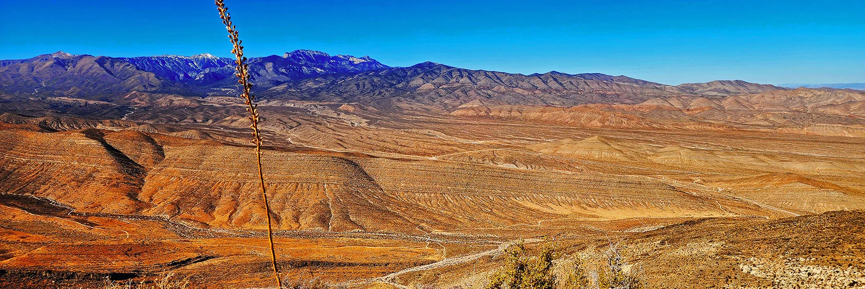 Panning NW from Charleston Wilderness to Kyle Canyon, Angel Peak, Ridge Approach Route | Harris Springs Canyon Ridgeline | La Madre Mountains Wilderness, Nevada