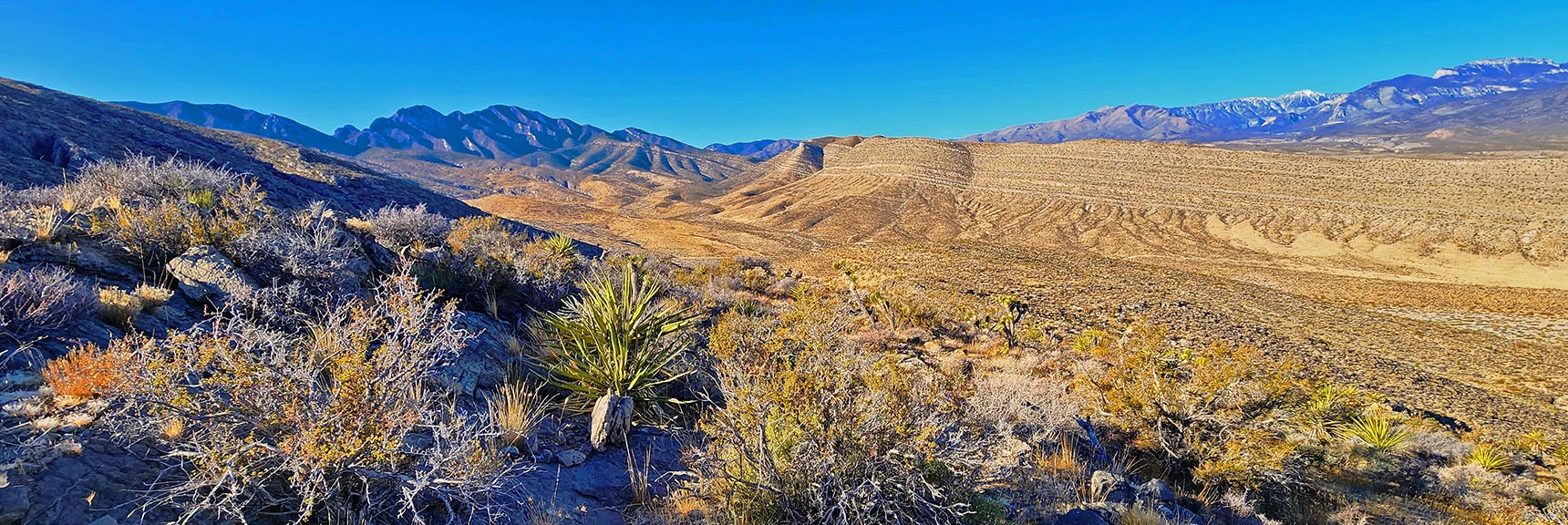 Watching for Additional Exploration Routes During Ascent | Harris Springs Canyon Ridgeline | La Madre Mountains Wilderness, Nevada