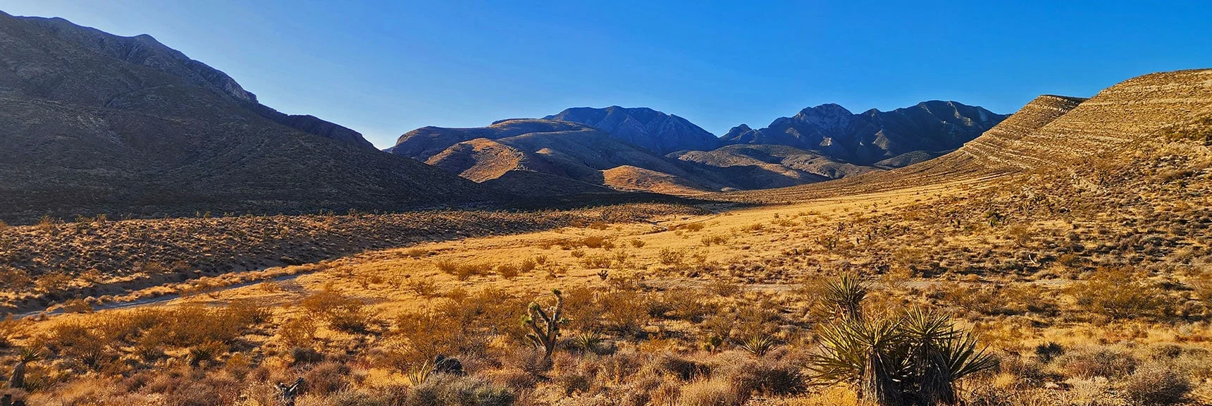 La Madre Mt. High Points Enlarged. | Harris Springs Canyon Ridgeline | La Madre Mountains Wilderness, Nevada