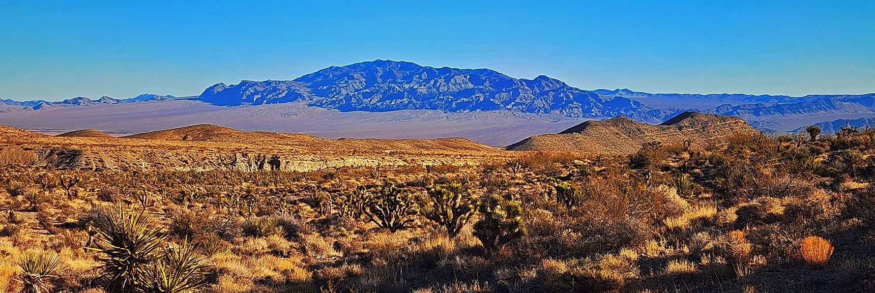 Sheep Range View Enlarged. 90 Miles of Backcountry Roads There, | Harris Springs Canyon Ridgeline | La Madre Mountains Wilderness, Nevada
