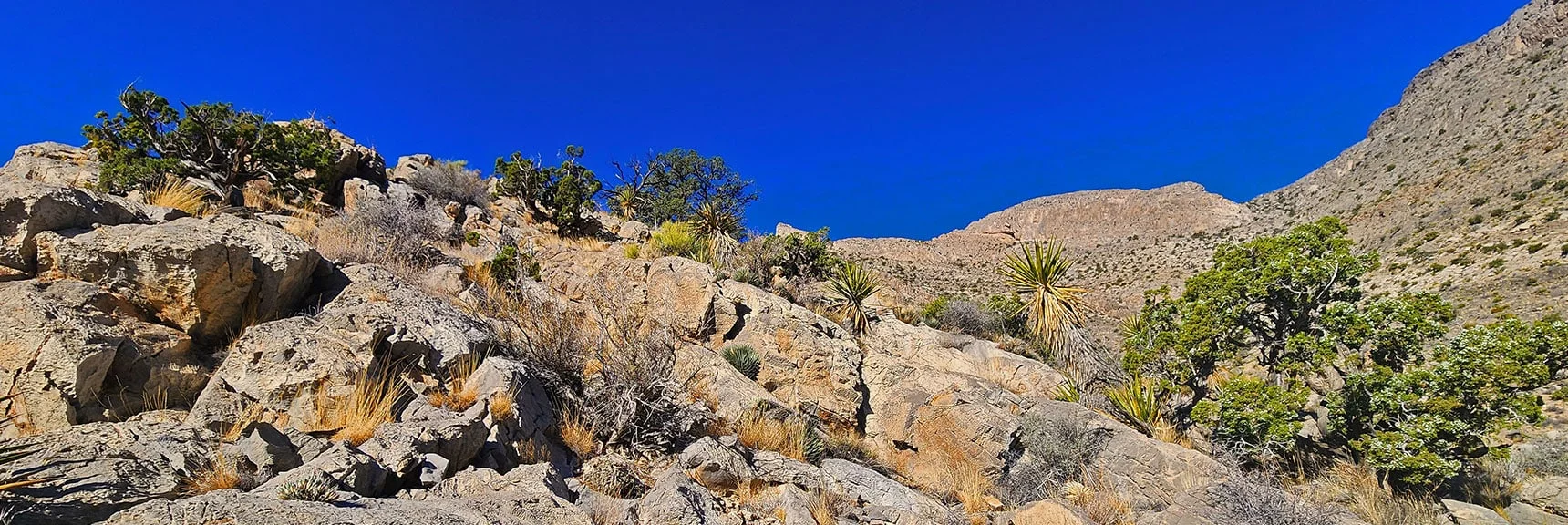 Begin Ascending SE Ridgeline Toward the Beautiful SE Pinnacle | Damsel Peak End-To-End | Brownstone Basin, Nevada
