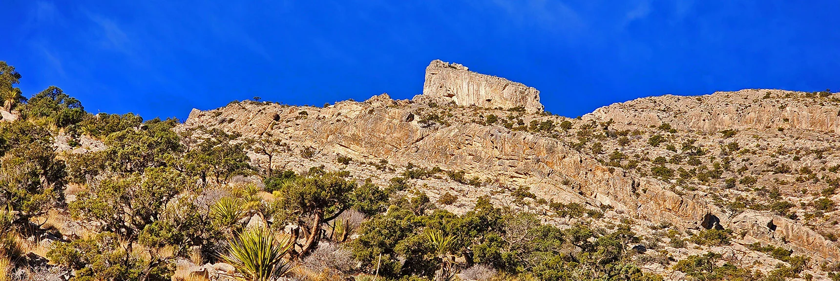 SE Pinnacle - Circle Lower Base of Intervening Cliffs Ahead | Damsel Peak Southeastern Pinnacle Loop | La Madre Mountains Wilderness, Nevada