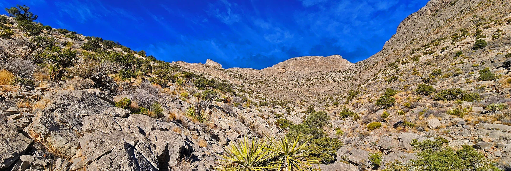 Into the Mouth of the SE Canyon. Terrain to SE Pinnacle | Damsel Peak Southeastern Pinnacle Loop | La Madre Mountains Wilderness, Nevada