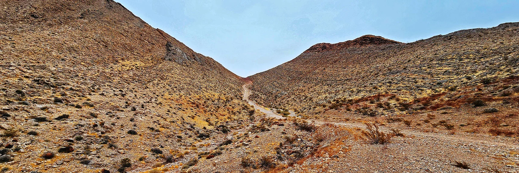 On the Saddle Between the Two Frenchman Mt. Heights | Frenchman Mt East Approach Loop | Near Lake Mead National Recreation Area, Nevada