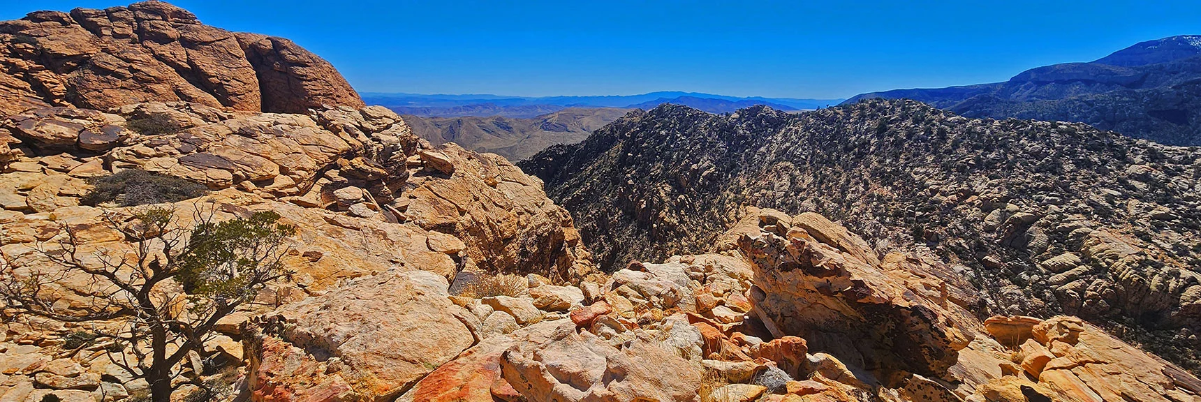 View Toward South Peak from 1st Gully Crossing | Hollow Rock & South Peaks Loop | Rainbow Mts. Wilderness, Nevada