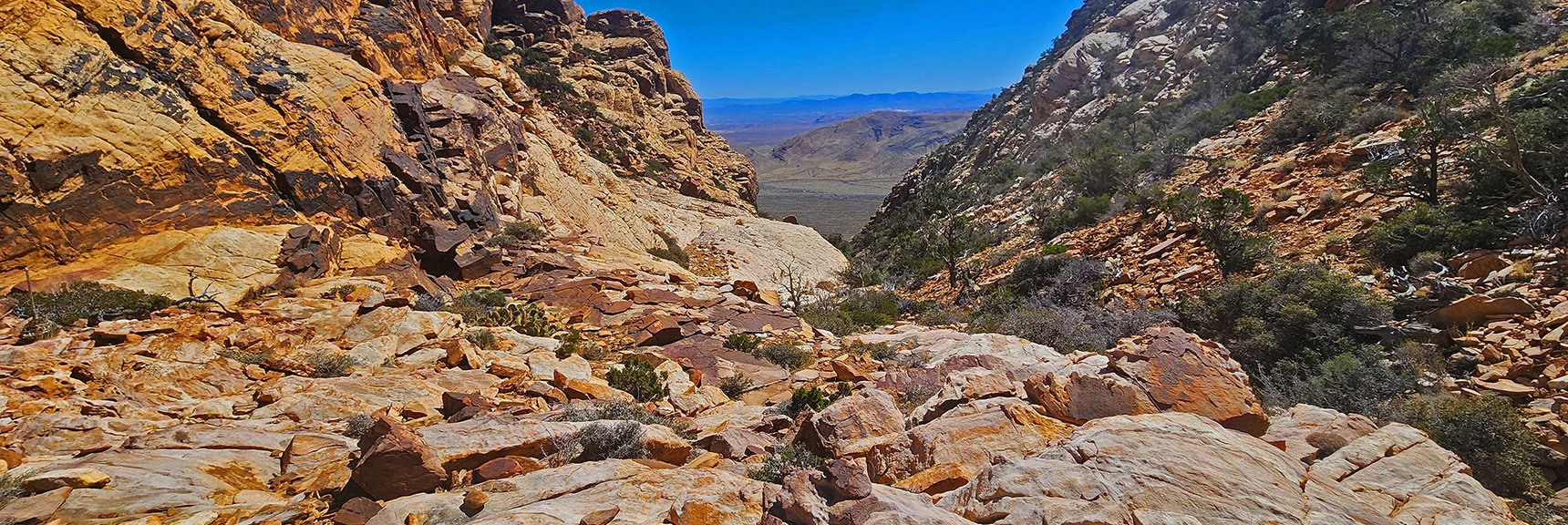 View Down Canyon from Just Below Its Summit | Hollow Rock & South Peaks Loop | Rainbow Mts. Wilderness, Nevada