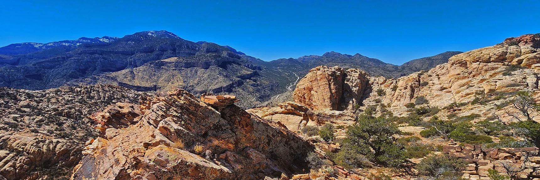 View Down Gully Toward Potosi Mt. | Hollow Rock & South Peaks Loop | Rainbow Mts. Wilderness, Nevada