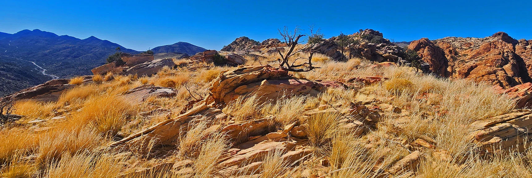 View Back to 4th High Point. Ridge Becoming Easier to Navigate | Hollow Rock & South Peaks Loop | Rainbow Mts. Wilderness, Nevada
