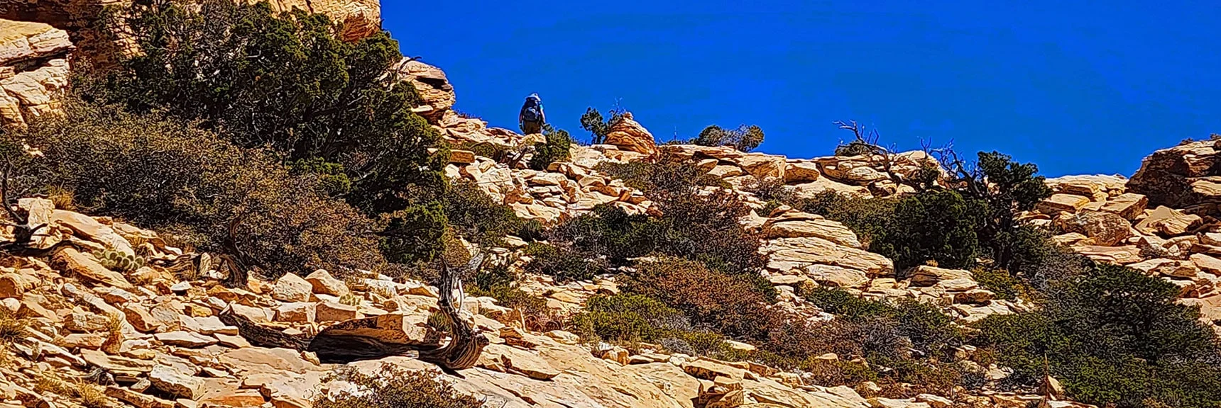 Crossing Upper East Gully Toward Hollow Rock Peak Summit | Hollow Rock & South Peaks Loop | Rainbow Mts. Wilderness, Nevada