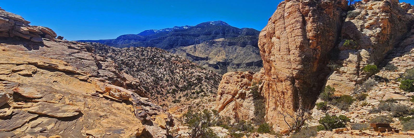 View Down Approach Gully Toward Potosi Mt. | Hollow Rock & South Peaks Loop | Rainbow Mts. Wilderness, Nevada
