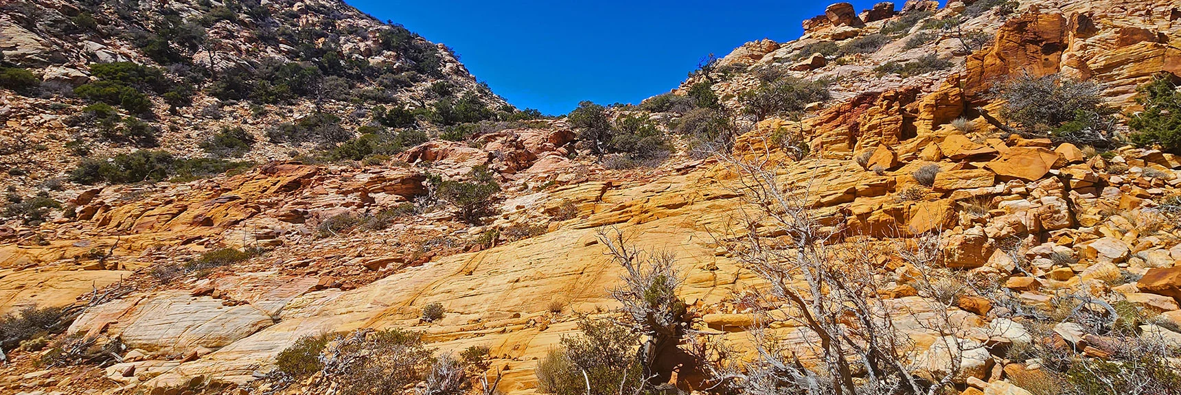 Ascending Gully Toward Hollow Rock Peak | Hollow Rock & South Peaks Loop | Rainbow Mts. Wilderness, Nevada