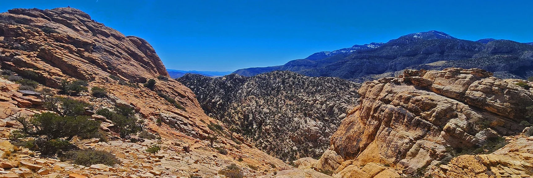 View Down East Gully to South Peak's Long Ridgeline. | Hollow Rock & South Peaks Loop | Rainbow Mts. Wilderness, Nevada