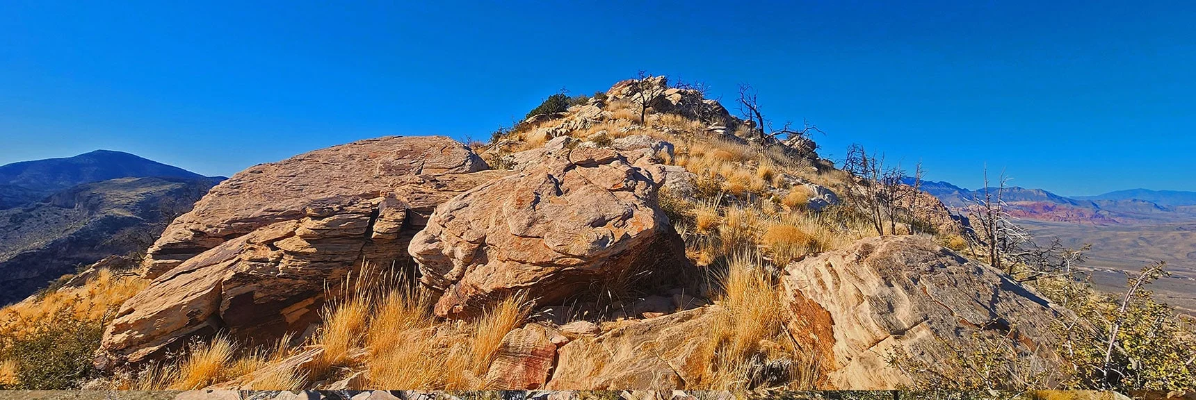 View Back to South Peak Summit: Was Actually 5th Ridgeline High Point. | Hollow Rock & South Peaks Loop | Rainbow Mts. Wilderness, Nevada