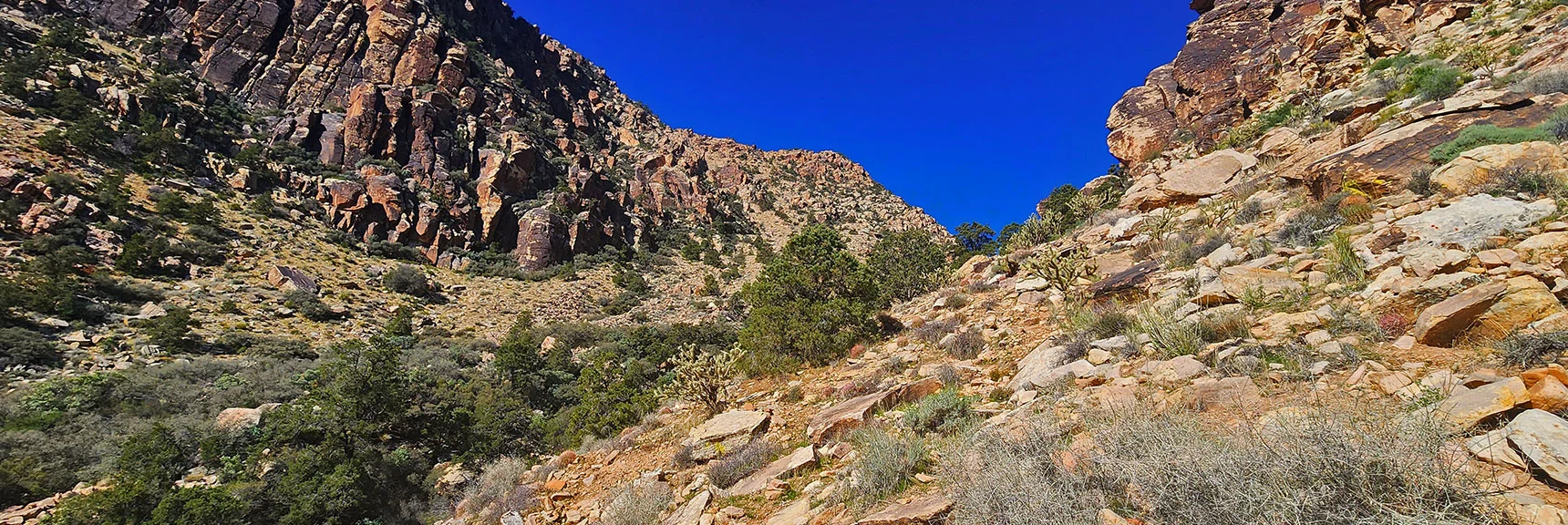 Approaching Ascent Canyon. Route on Right Above Wash | Hollow Rock & South Peaks Loop | Rainbow Mts. Wilderness, Nevada