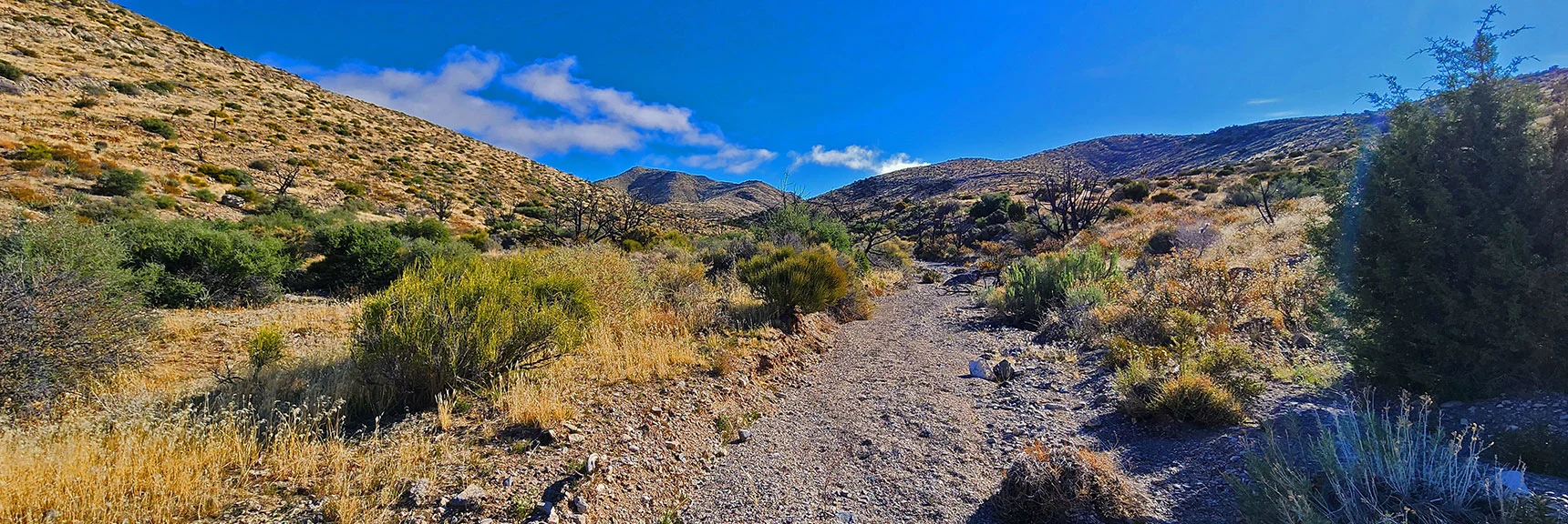 Continue in the Nice, Gradual Wide Wash Through Opening in Hills | Indecision Peak Summit | Rainbow Mountain Wilderness, Nevada
