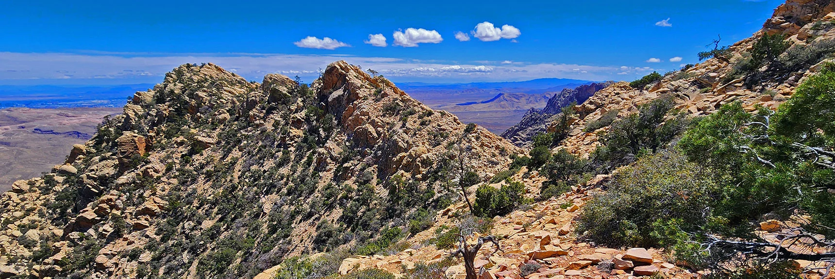 Summit Route: Round West Summit on Right, Angle Left, Toward East Summit | Indecision Peak Summit | Rainbow Mountain Wilderness, Nevada