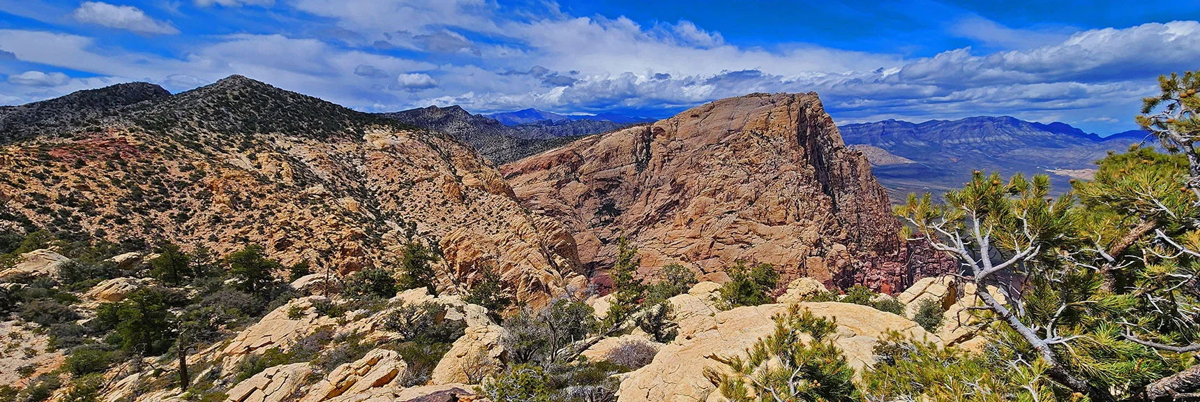 Mt. Wilson and Rainbow Mts. Viewed to North. La Madre Ridge Far Right. | Indecision Peak Summit | Rainbow Mountain Wilderness, Nevada