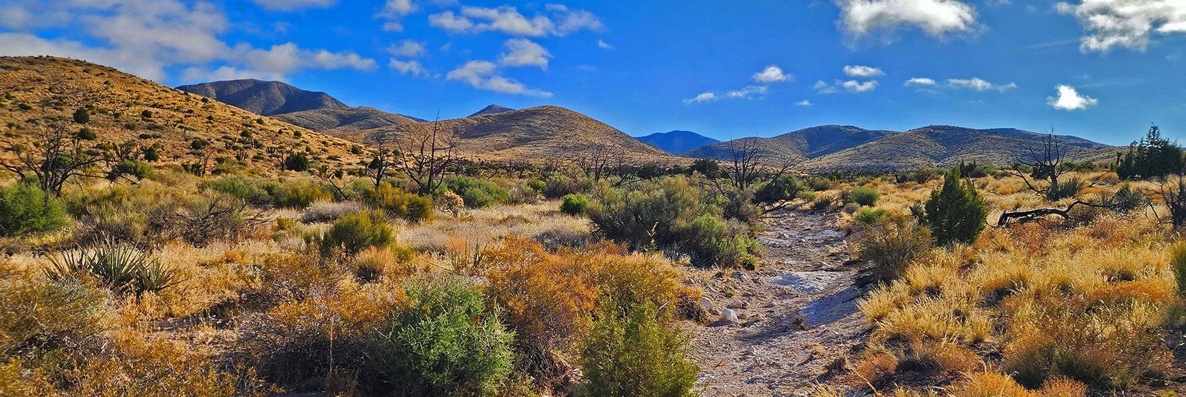 Watch for a Wash That Will Guide You to the Opening | Indecision Peak Summit | Rainbow Mountain Wilderness, Nevada