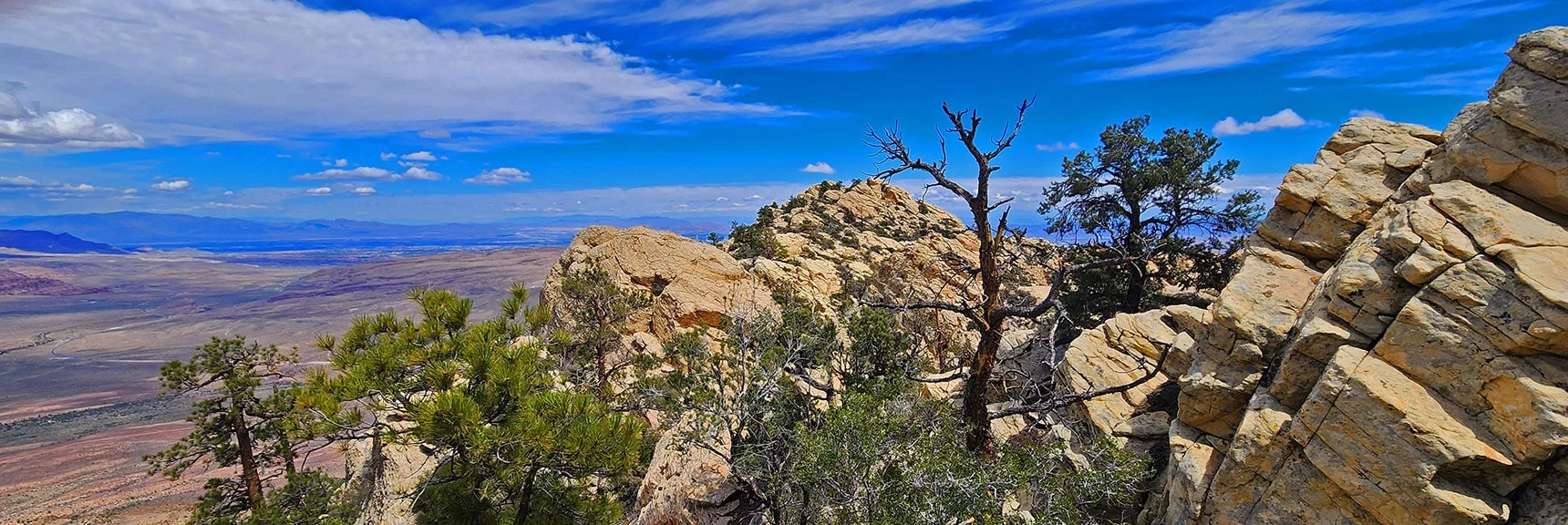Summit the Challenging, Overlooked Peak Just South of Mt. Wilson! | Indecision Peak Summit | Rainbow Mountain Wilderness, Nevada