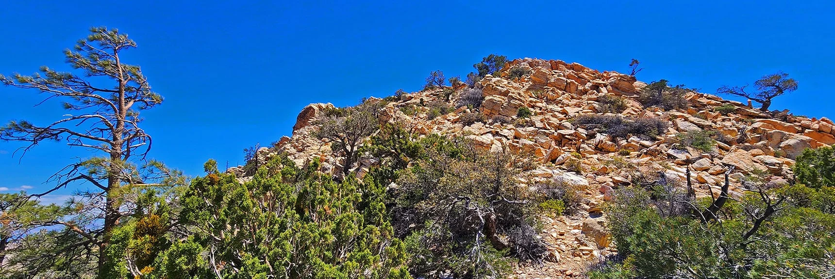 On Saddle Below West Summit. Round Upward and to the Right | Indecision Peak Summit | Rainbow Mountain Wilderness, Nevada